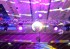 Lights & Sound