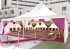 Pagoda Tent